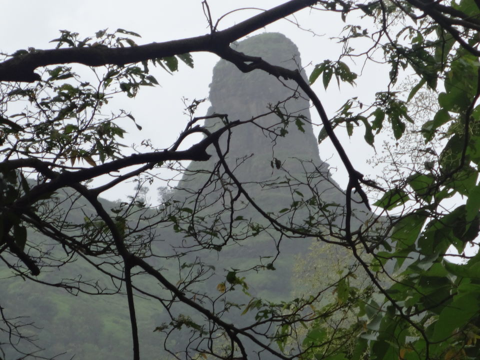 Photo of Karnala fort & bird sanctuary Jungle trek by PANKAJ KUMAR