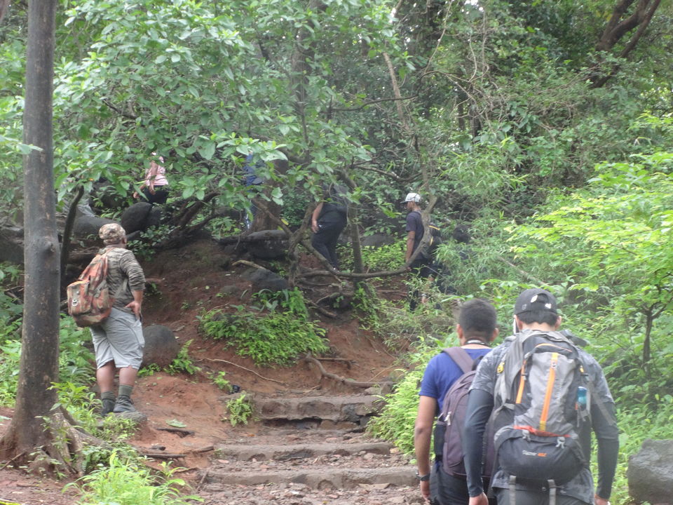 Photo of Karnala fort & bird sanctuary Jungle trek by PANKAJ KUMAR