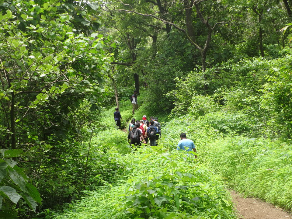 Photo of Karnala fort & bird sanctuary Jungle trek by PANKAJ KUMAR