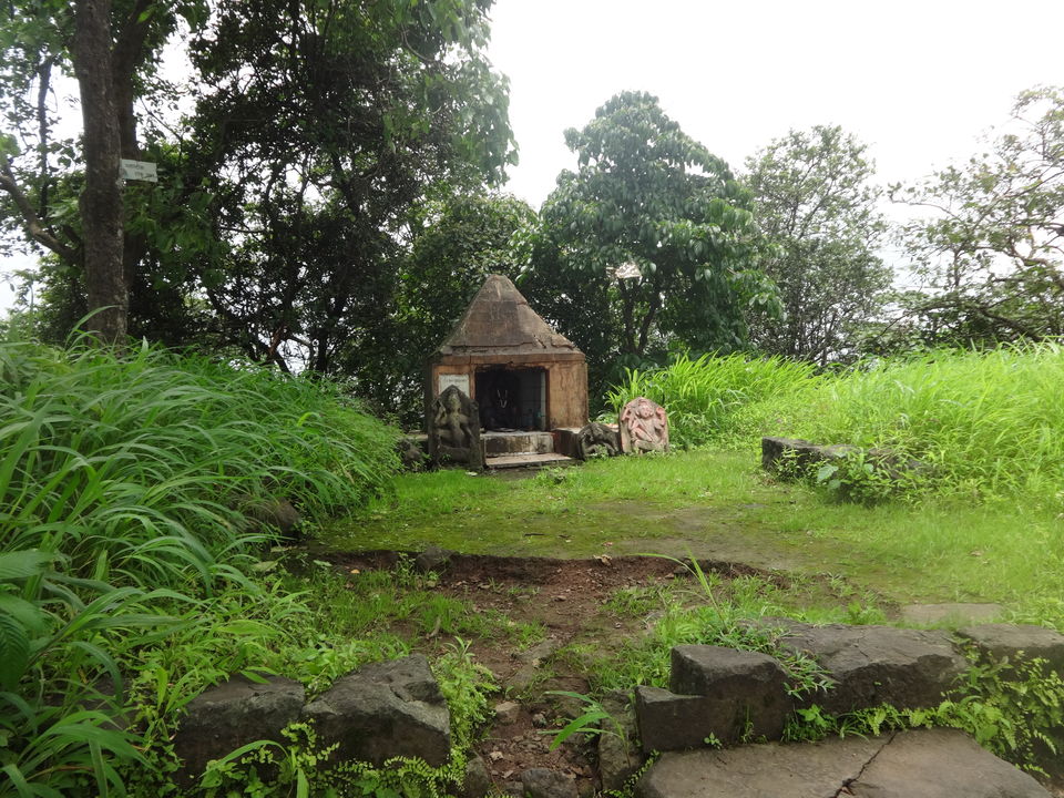 Photo of Karnala fort & bird sanctuary Jungle trek by PANKAJ KUMAR