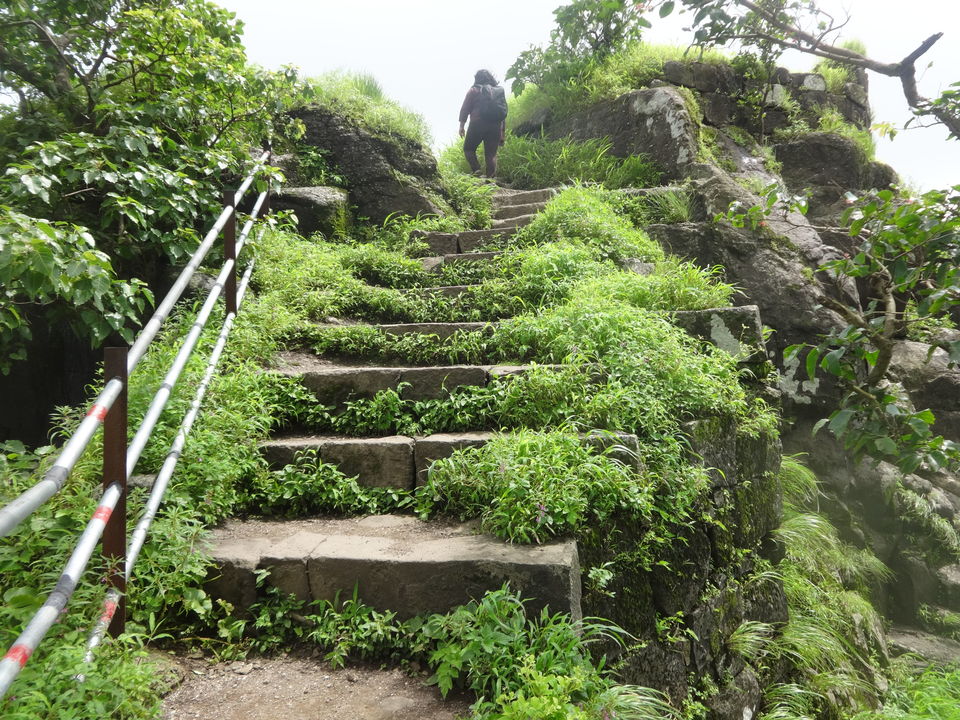 Photo of Karnala fort & bird sanctuary Jungle trek by PANKAJ KUMAR