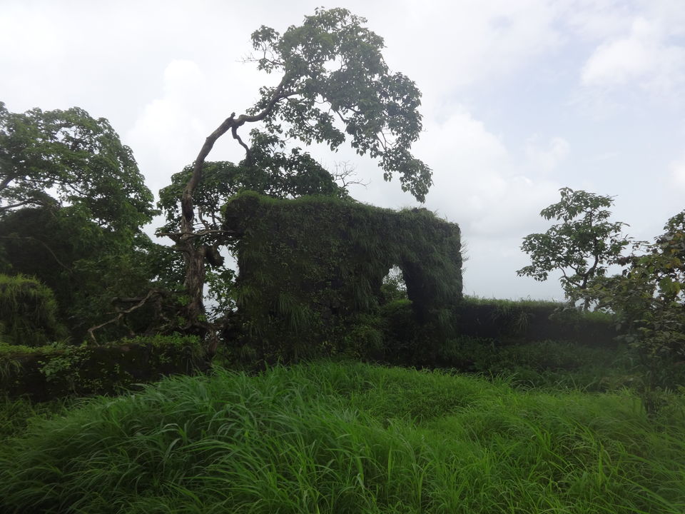 Photo of Karnala fort & bird sanctuary Jungle trek by PANKAJ KUMAR