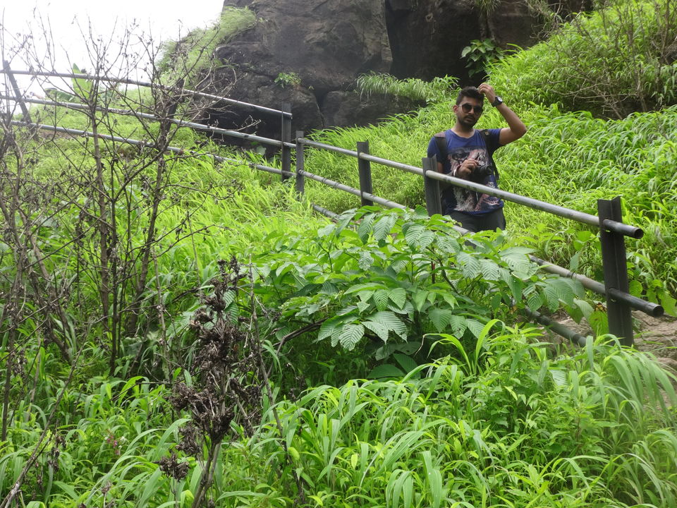 Photo of Karnala fort & bird sanctuary Jungle trek by PANKAJ KUMAR