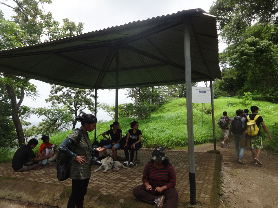 Photo of Karnala fort & bird sanctuary Jungle trek by PANKAJ KUMAR