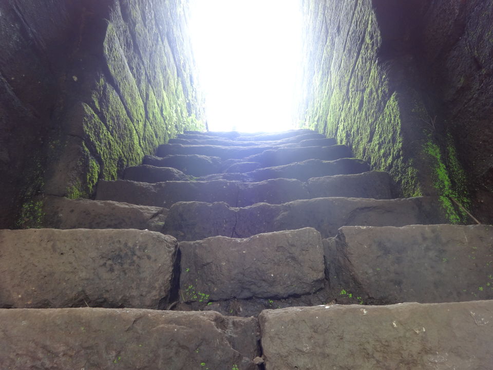 Photo of Karnala fort & bird sanctuary Jungle trek by PANKAJ KUMAR