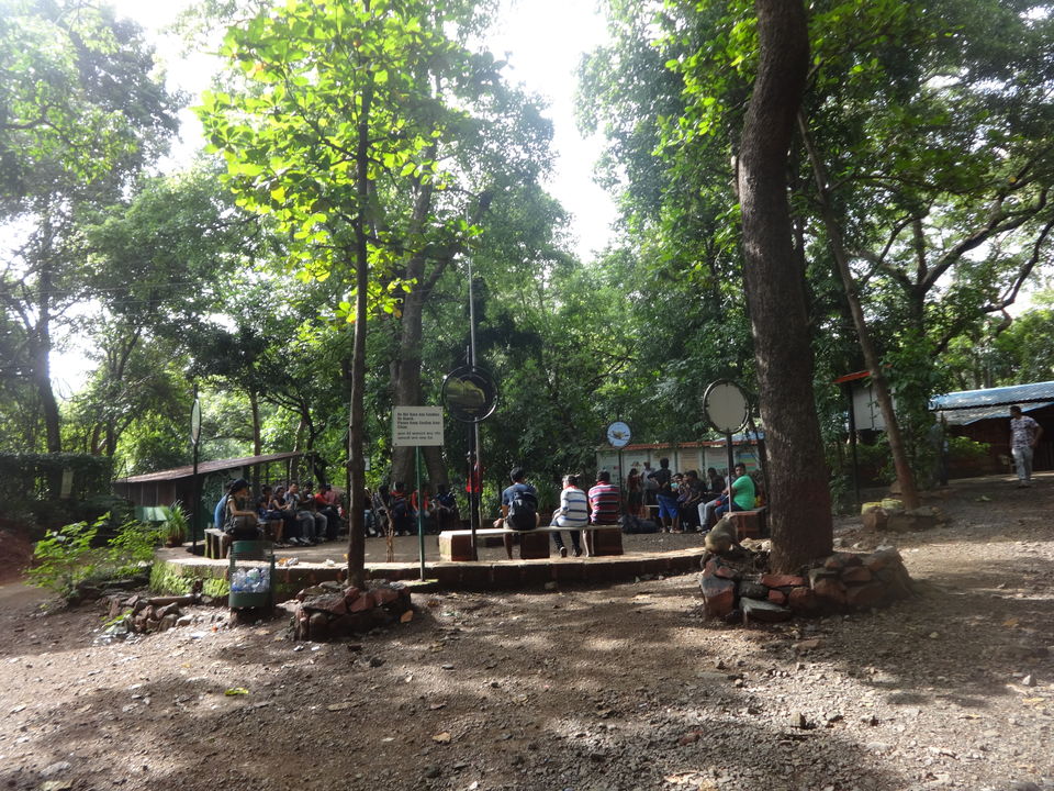 Photo of Karnala fort & bird sanctuary Jungle trek by PANKAJ KUMAR