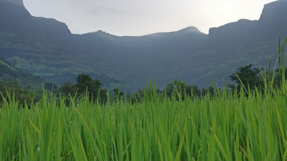 Photo of A walk in The Mountain:Trek to Harishchandragad via Nalichi Vaat. 2/70 by PANKAJ KUMAR