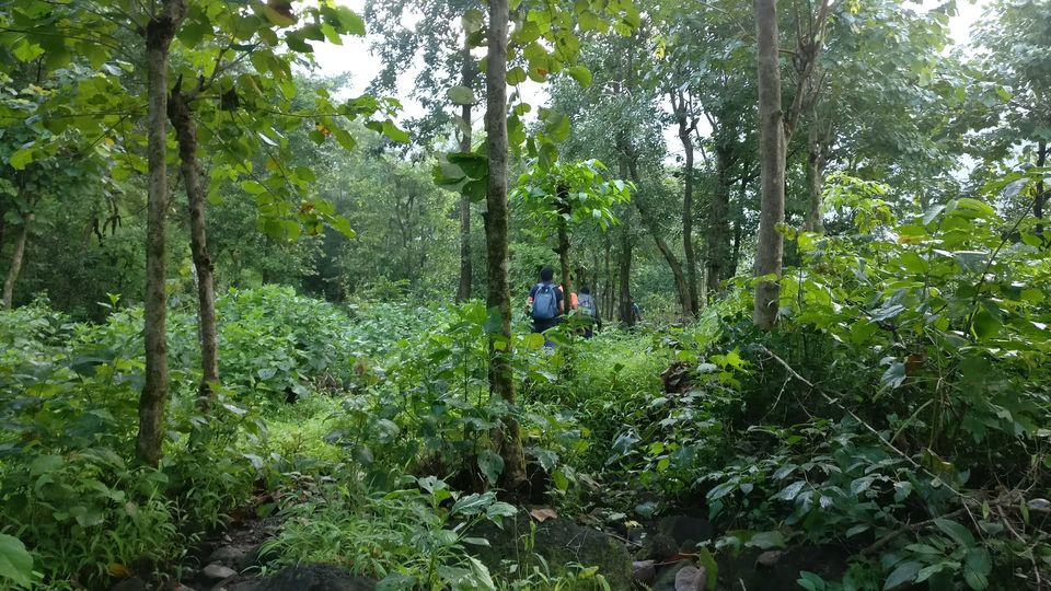 Photo of A walk in The Mountain:Trek to Harishchandragad via Nalichi Vaat. 5/70 by PANKAJ KUMAR