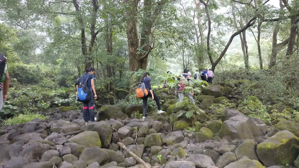 Photo of A walk in The Mountain:Trek to Harishchandragad via Nalichi Vaat. 6/70 by PANKAJ KUMAR