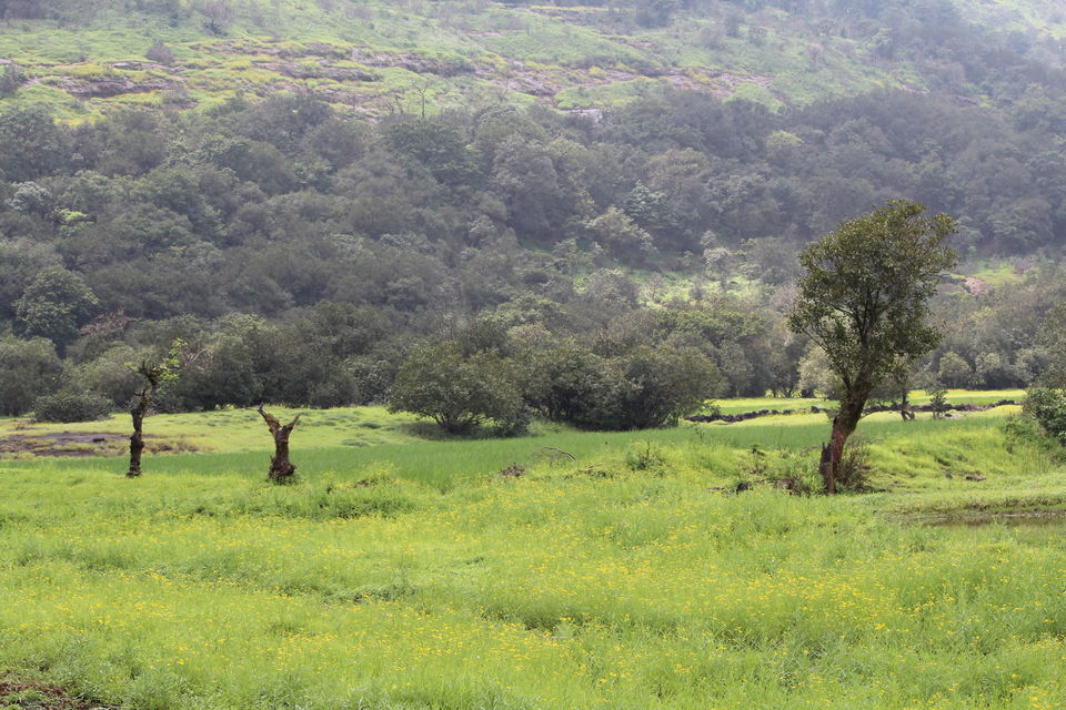 Photo of A walk in The Mountain:Trek to Harishchandragad via Nalichi Vaat. 33/70 by PANKAJ KUMAR