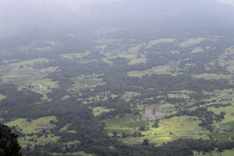 Photo of A walk in The Mountain:Trek to Harishchandragad via Nalichi Vaat. 31/70 by PANKAJ KUMAR