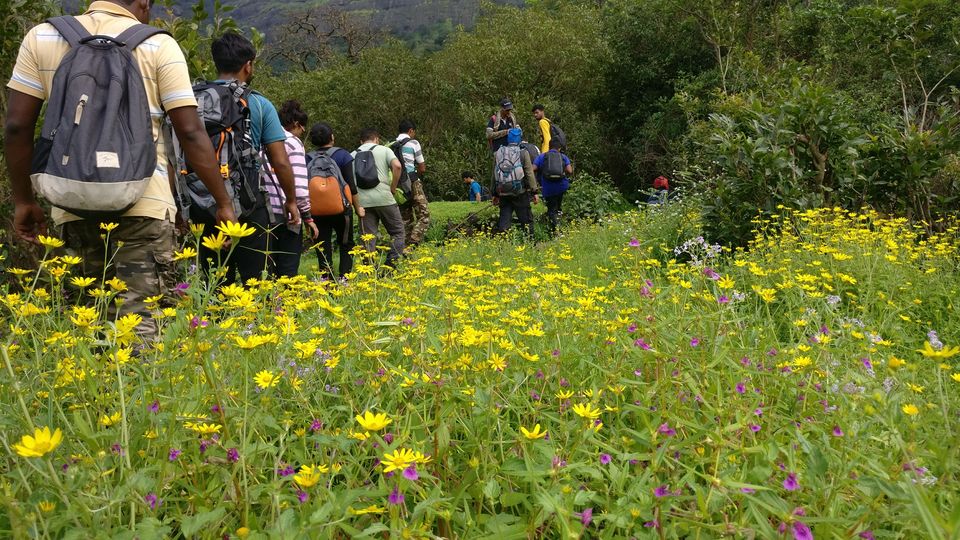 Photo of A walk in The Mountain:Trek to Harishchandragad via Nalichi Vaat. 38/70 by PANKAJ KUMAR