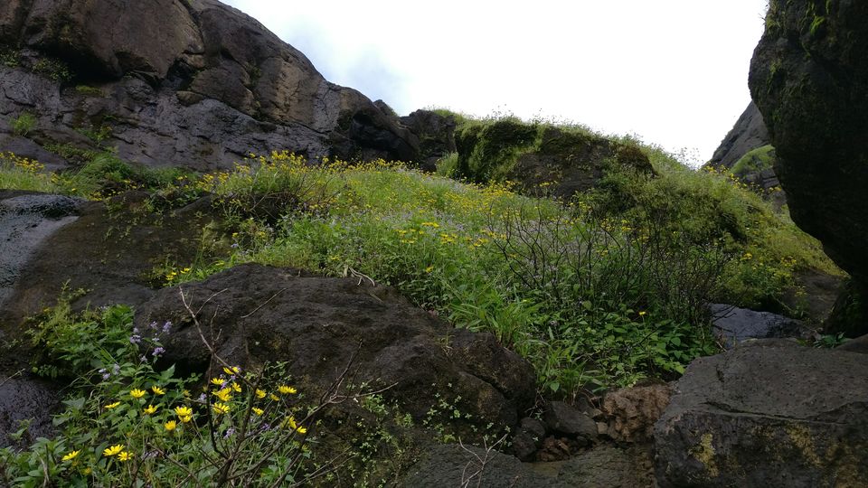 Photo of A walk in The Mountain:Trek to Harishchandragad via Nalichi Vaat. 45/70 by PANKAJ KUMAR