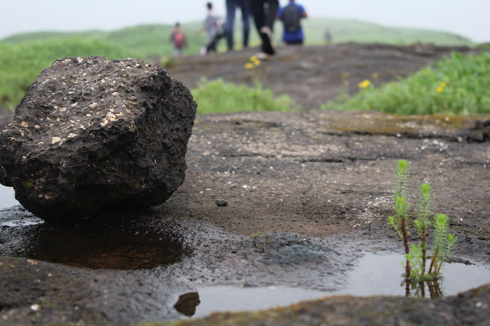 Photo of A walk in The Mountain:Trek to Harishchandragad via Nalichi Vaat. 49/70 by PANKAJ KUMAR