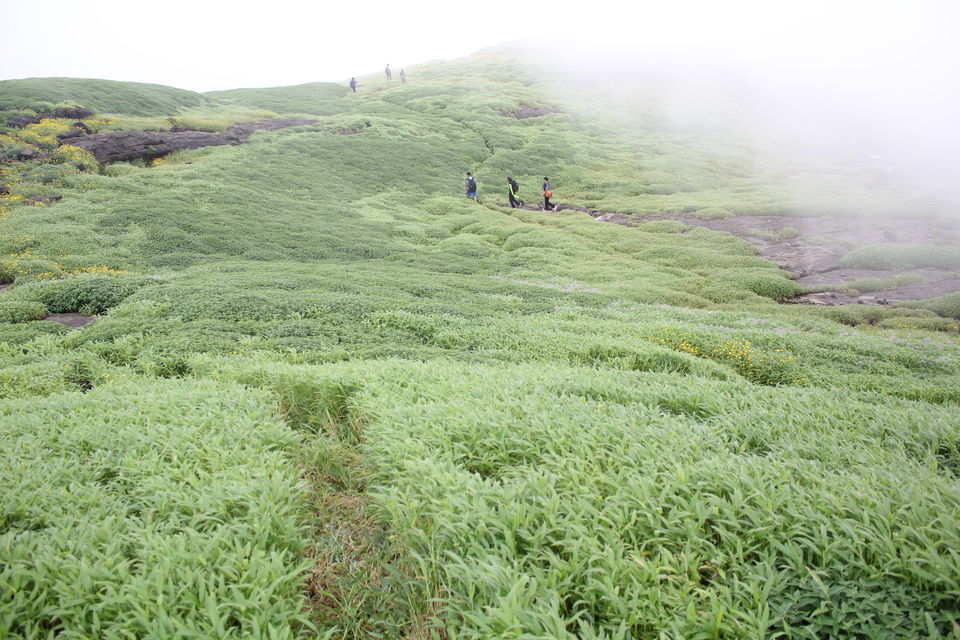 Photo of A walk in The Mountain:Trek to Harishchandragad via Nalichi Vaat. 48/70 by PANKAJ KUMAR
