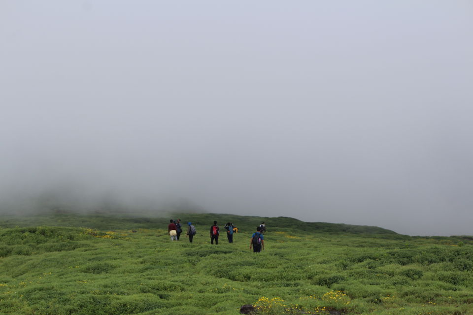 Photo of A walk in The Mountain:Trek to Harishchandragad via Nalichi Vaat. 54/70 by PANKAJ KUMAR