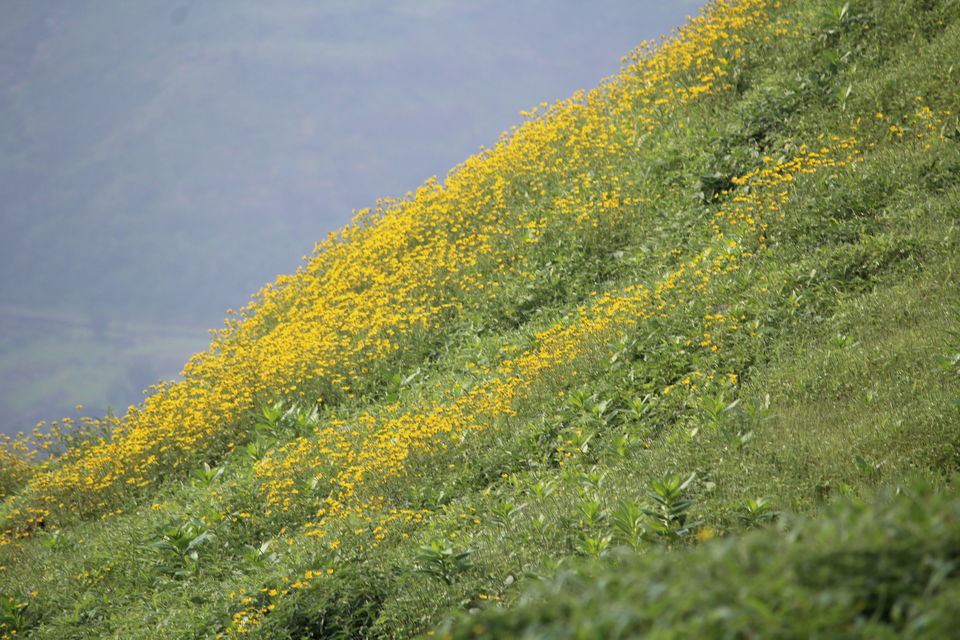 Photo of A walk in The Mountain:Trek to Harishchandragad via Nalichi Vaat. 56/70 by PANKAJ KUMAR