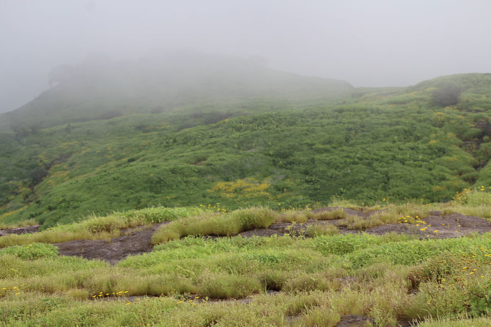 Photo of A walk in The Mountain:Trek to Harishchandragad via Nalichi Vaat. 58/70 by PANKAJ KUMAR