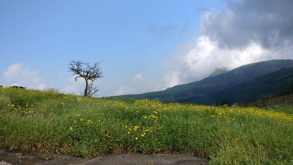 Photo of A walk in The Mountain:Trek to Harishchandragad via Nalichi Vaat. 59/70 by PANKAJ KUMAR