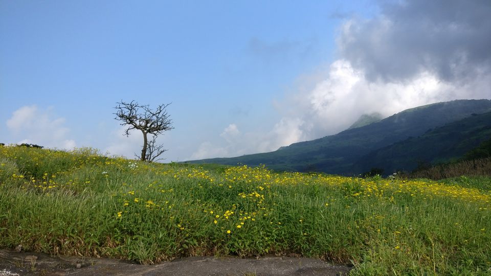 Photo of A walk in The Mountain:Trek to Harishchandragad via Nalichi Vaat. 61/70 by PANKAJ KUMAR