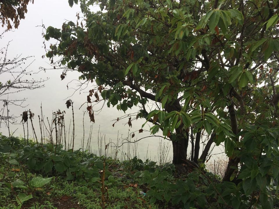 Photo of Trek to Mt. Kalsubai – beyond clouds. 3/13 by PANKAJ KUMAR