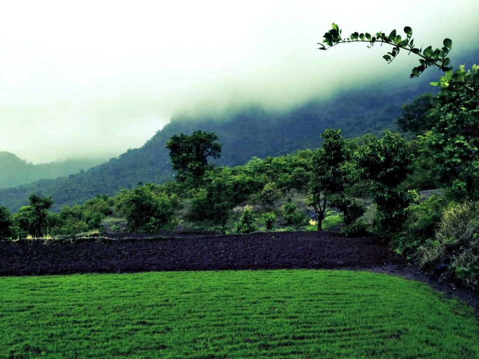 Photo of Trek to Mt. Kalsubai – beyond clouds. 4/13 by PANKAJ KUMAR