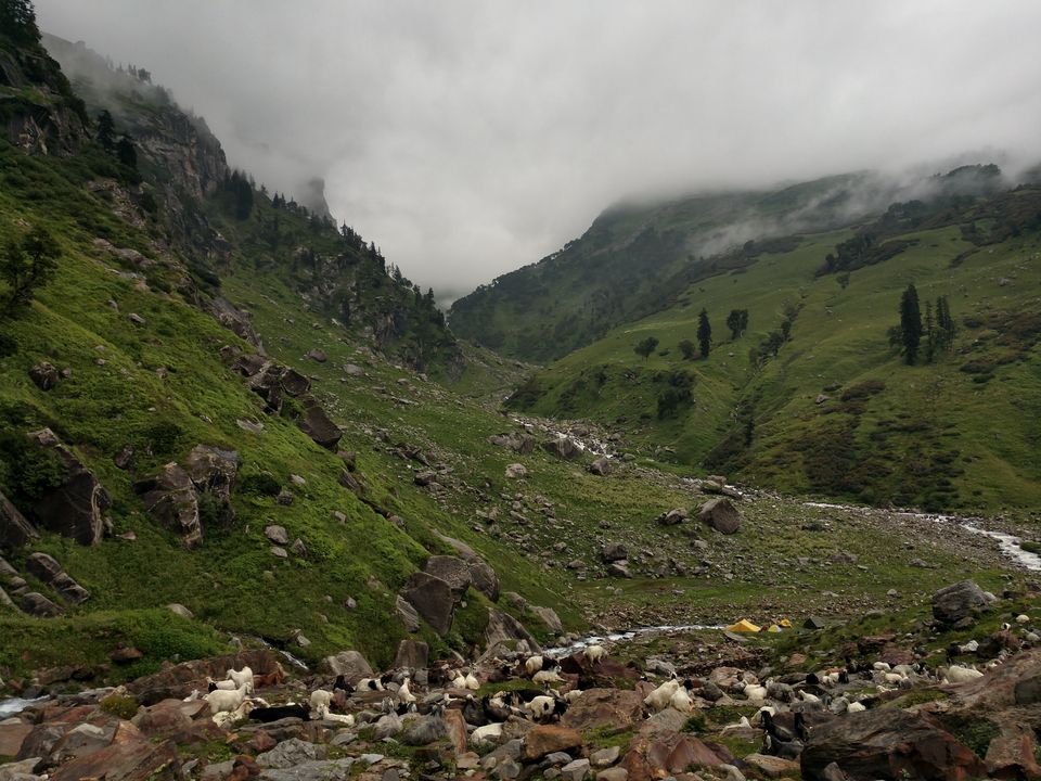 Photo of Trekking Story To Hampta Pass (14,000 ft) And Chandratal Lake: The world within The World. by PANKAJ KUMAR