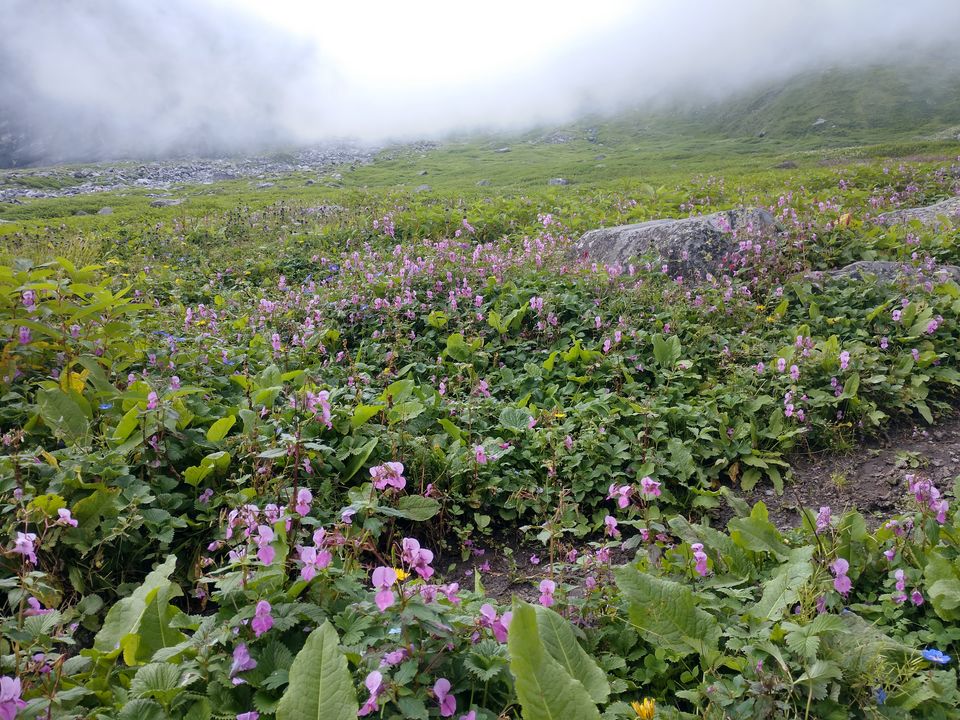 Photo of Trekking Story To Hampta Pass (14,000 ft) And Chandratal Lake: The world within The World. by PANKAJ KUMAR