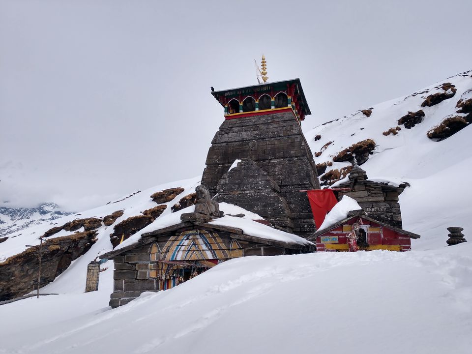 Photo of Chopta, Uttarakhand, India by PANKAJ KUMAR