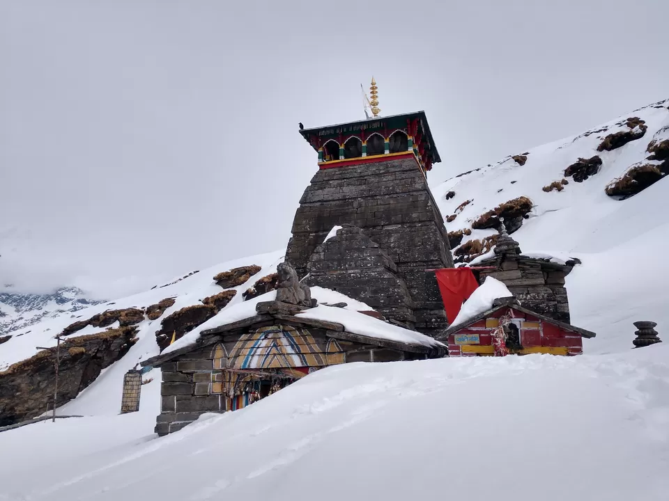 Photo of Chopta, Uttarakhand, India by PANKAJ KUMAR