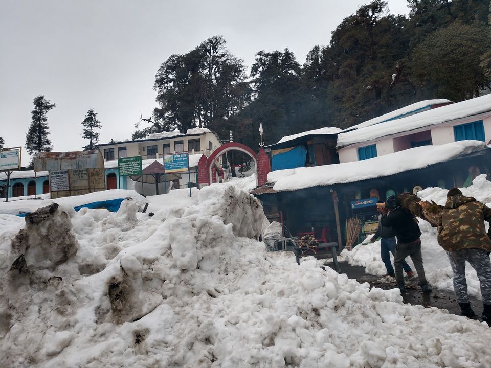 Photo of Chopta, Uttarakhand, India by PANKAJ KUMAR