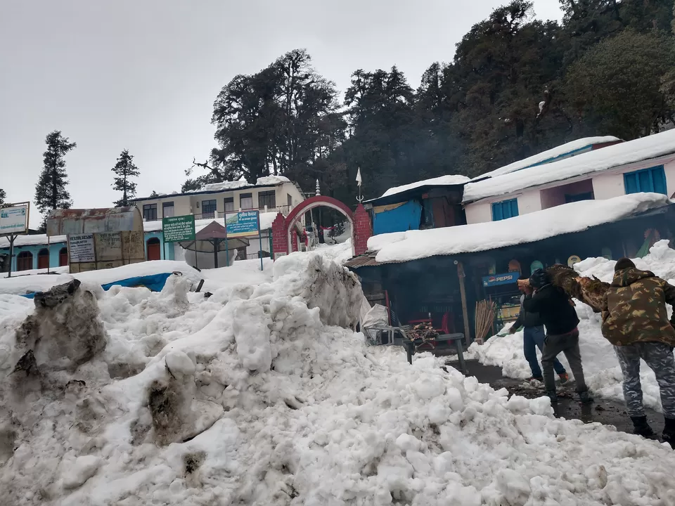 Photo of Chopta, Uttarakhand, India by PANKAJ KUMAR