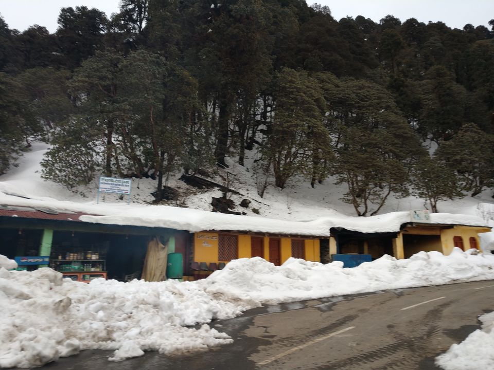 Photo of Chopta, Uttarakhand, India by PANKAJ KUMAR