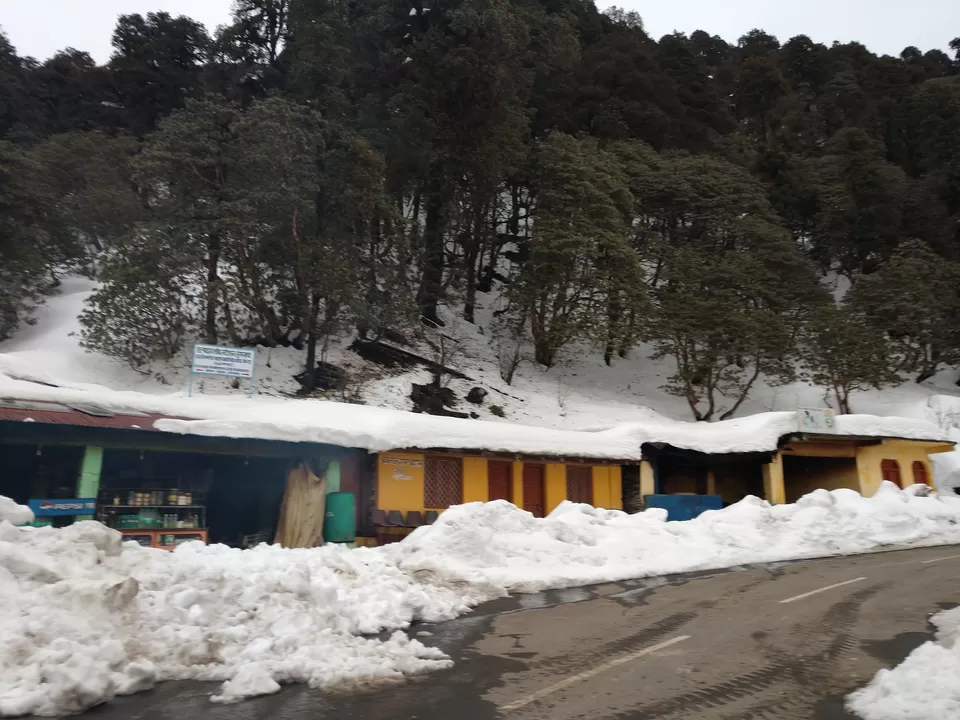 Photo of Chopta, Uttarakhand, India by PANKAJ KUMAR