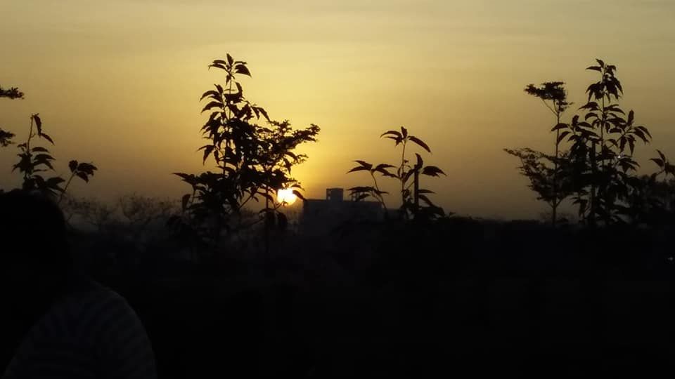 Photo of Taljai Forest Area, Pune, Maharashtra, India by PANKAJ KUMAR