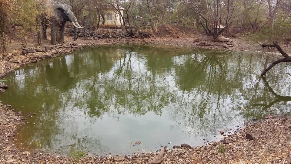 Photo of Taljai Forest Area, Pune, Maharashtra, India by PANKAJ KUMAR