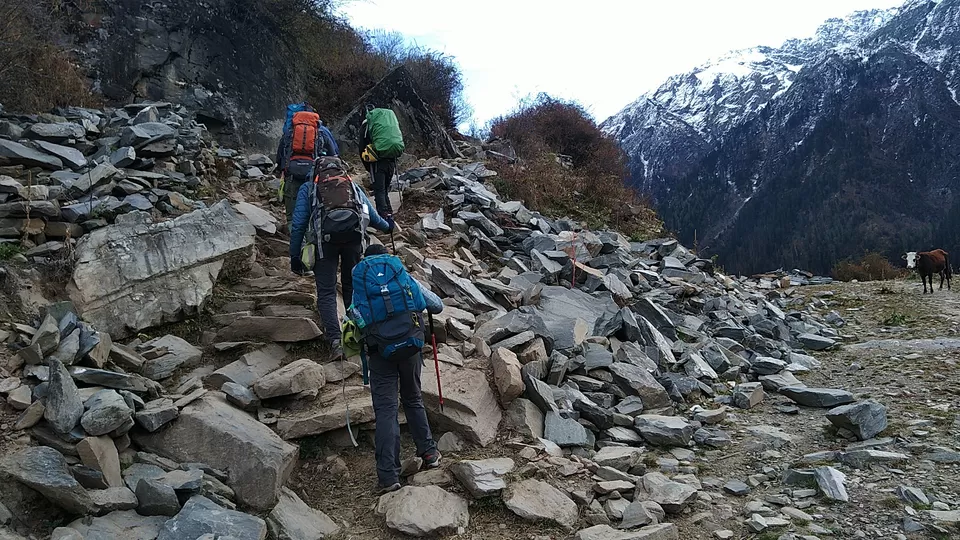 Photo of Dayara Bugyal, Taknaur Renge, Uttarakhand, India by PANKAJ KUMAR