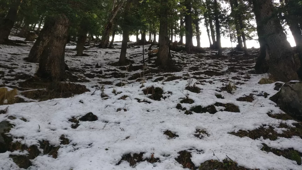 Photo of The Chandranahan Lake Trek: A White carpet of snow. by PANKAJ KUMAR