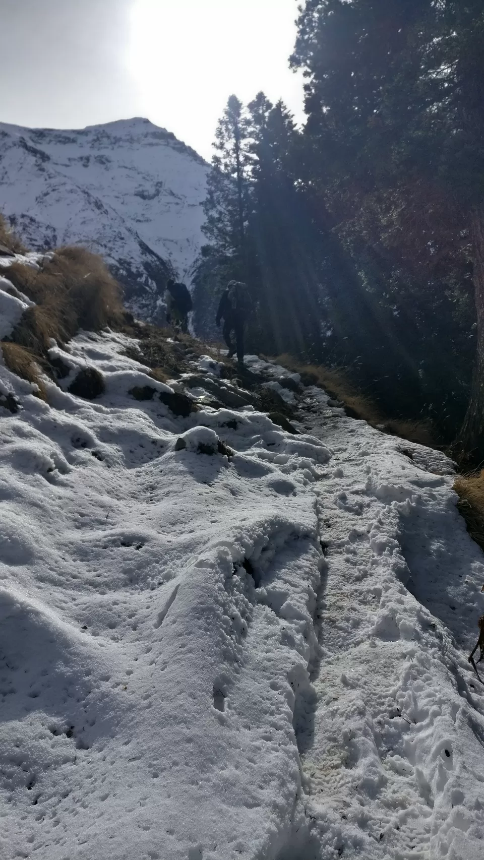 Photo of The Chandranahan Lake Trek: A White carpet of snow. by PANKAJ KUMAR