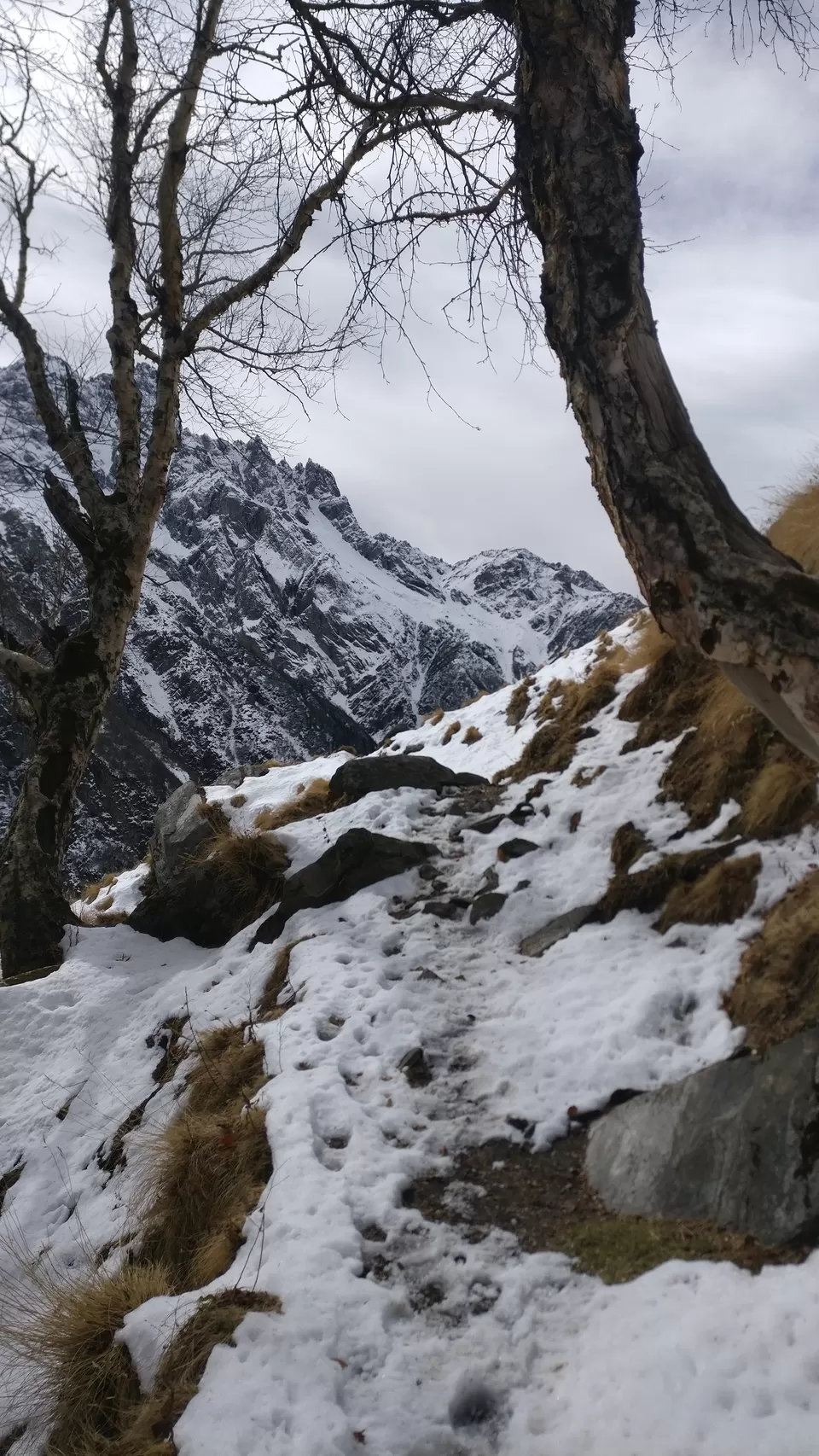 Photo of Janglik, Himachal Pradesh, India by PANKAJ KUMAR