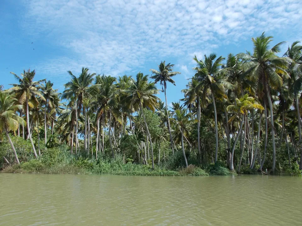 Photo of Poovar Boating, Chalakkara - Poovar Road, Kulathoor, Kerala, India by PANKAJ KUMAR