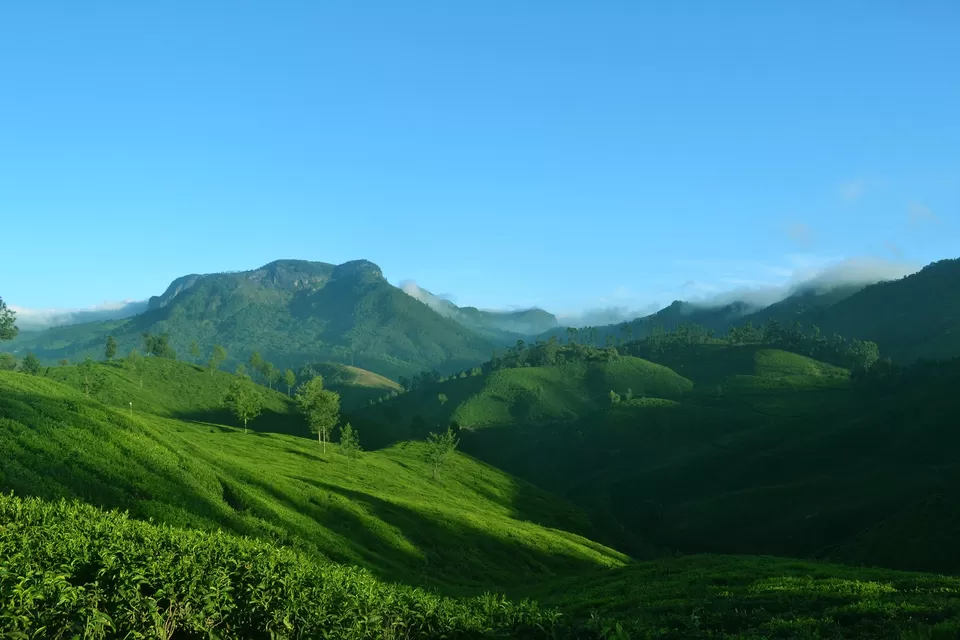 Photo of Munnar, Kerala, India by PANKAJ KUMAR