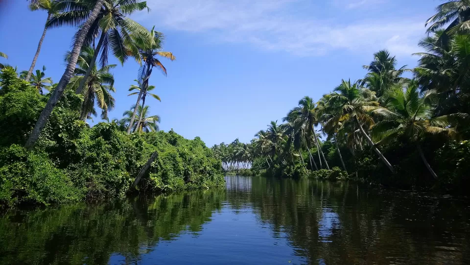 Photo of Periyar National Park, Kerala, India by PANKAJ KUMAR