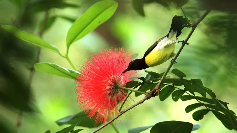 Photo of Periyar National Park, Kerala, India by PANKAJ KUMAR