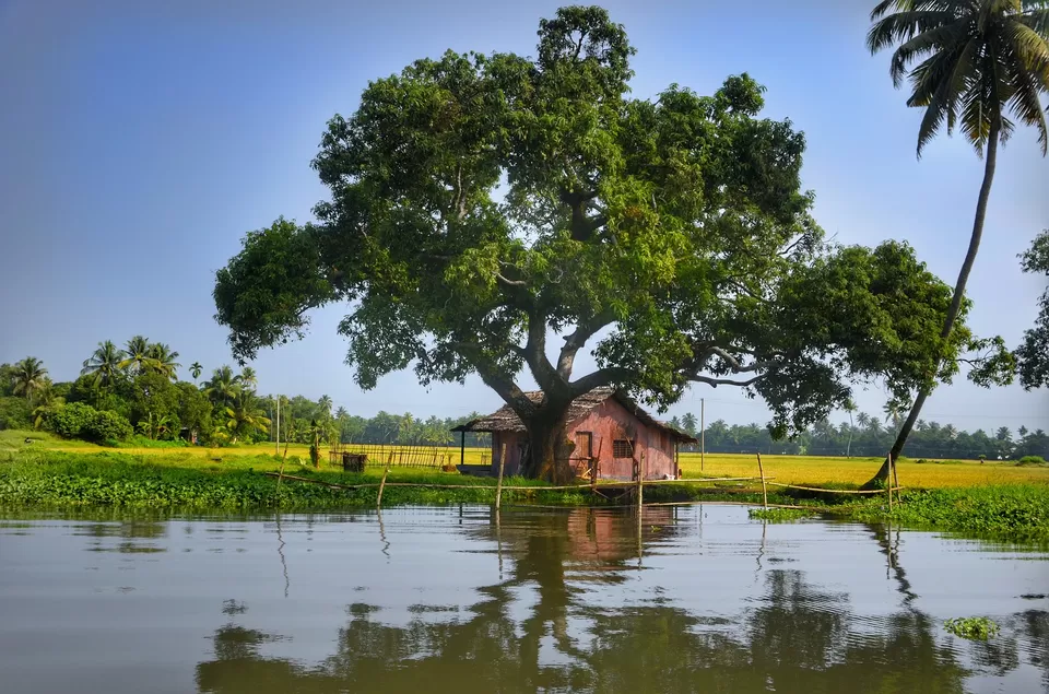 Photo of Alleppey Boathouse, Punnamada, Starting Point, Alappuzha, Kerala, India by PANKAJ KUMAR