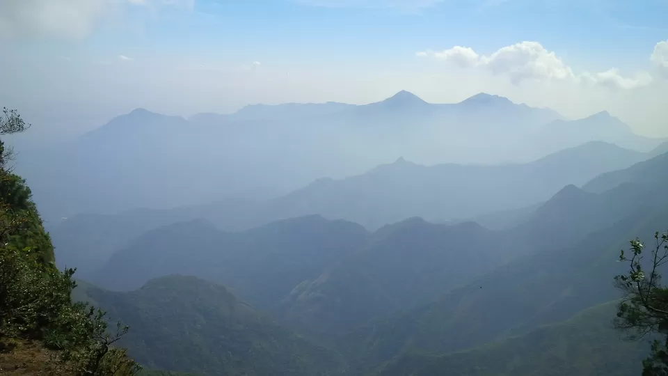 Photo of Munnar, Kerala, India by PANKAJ KUMAR