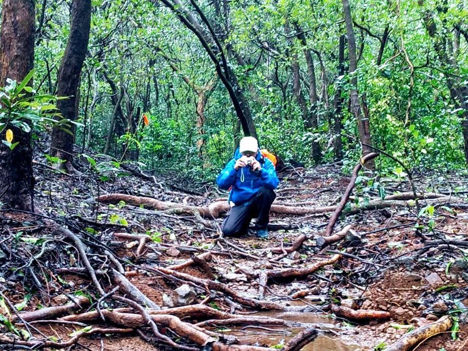 Photo of Everything you need to know before going into the wild. by PANKAJ KUMAR