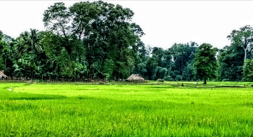 Photo of Baratang Island, North and Middle Andaman, Andaman and Nicobar Islands, India by Mudit Bhatnagar