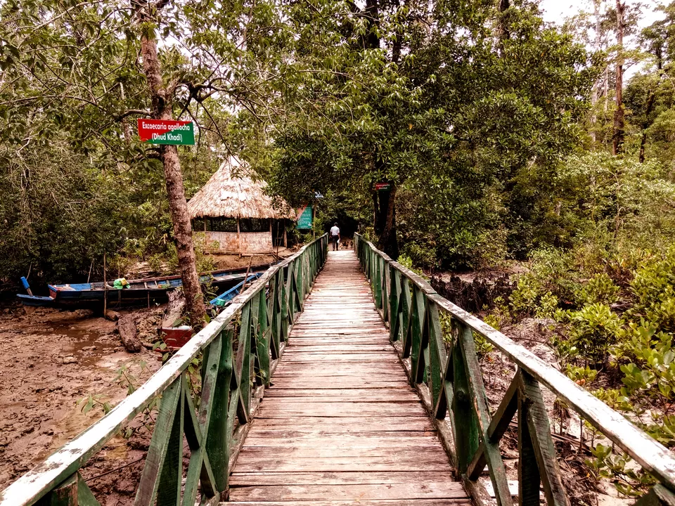 Photo of Baratang Island, North and Middle Andaman, Andaman and Nicobar Islands, India by Mudit Bhatnagar