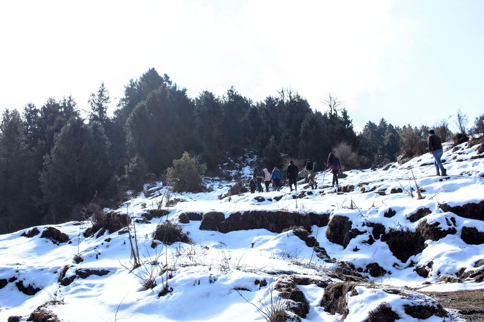Photo of Prashar Lake: A trek to remember by Mudit Bhatnagar
